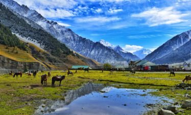 Enchanting India: From Delhi to Kashmir’s Valleys and Mughal Marvels