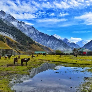 Discover Heart of Kashmir Pahalgam with VSTPL