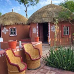 Discover Royal Rajasthan Bishnoi Village Safari with VTSPL