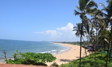 Enchanting Goa: A Journey through Serenity and Splendor