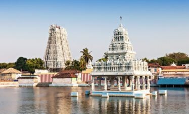 Southern Splendors: Tamil Nadu Tour
