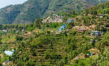 Himalayan Retreat: 7 Days of Serenity in Nainital and Mukteshwar