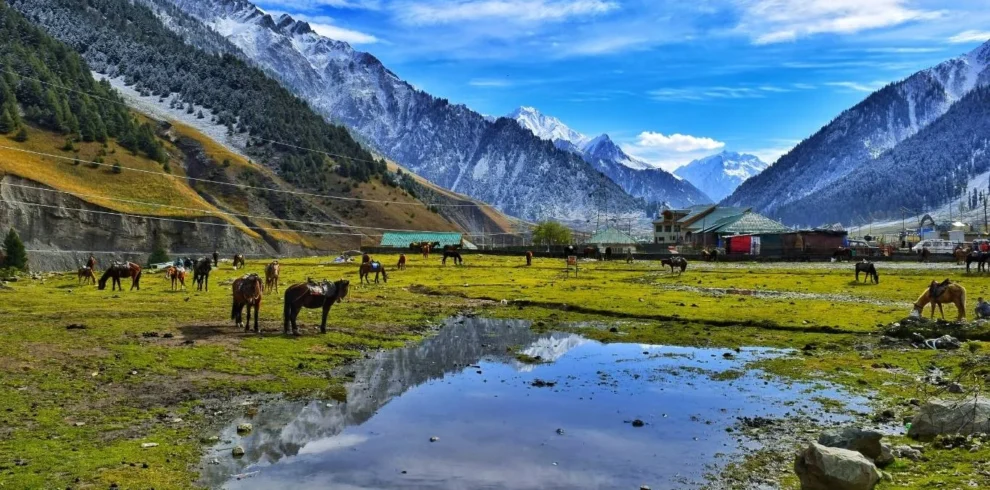 Discover Golden Triangle Kashmir Tour with VTSPL