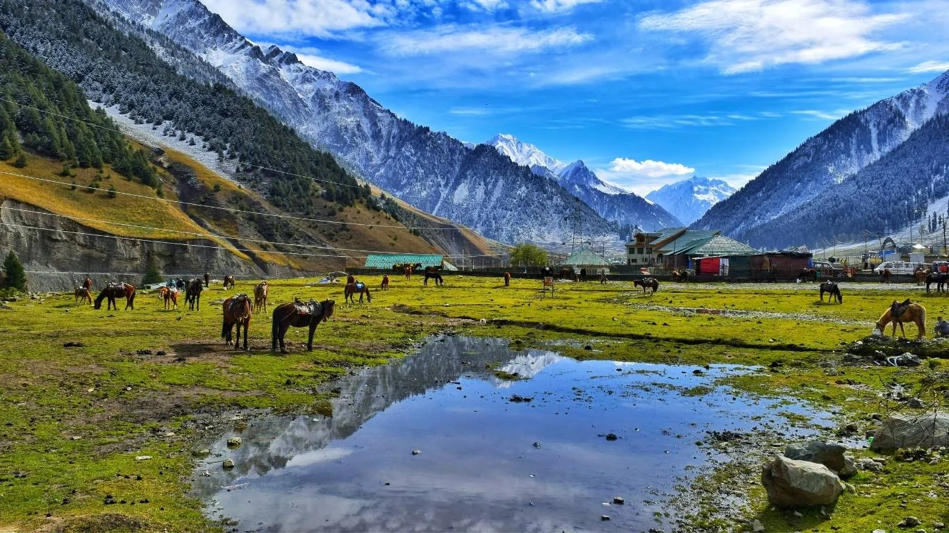 Discover Golden Triangle Kashmir Tour with VTSPL
