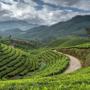 Discover Kerala Backwater Munnar with VTSPL