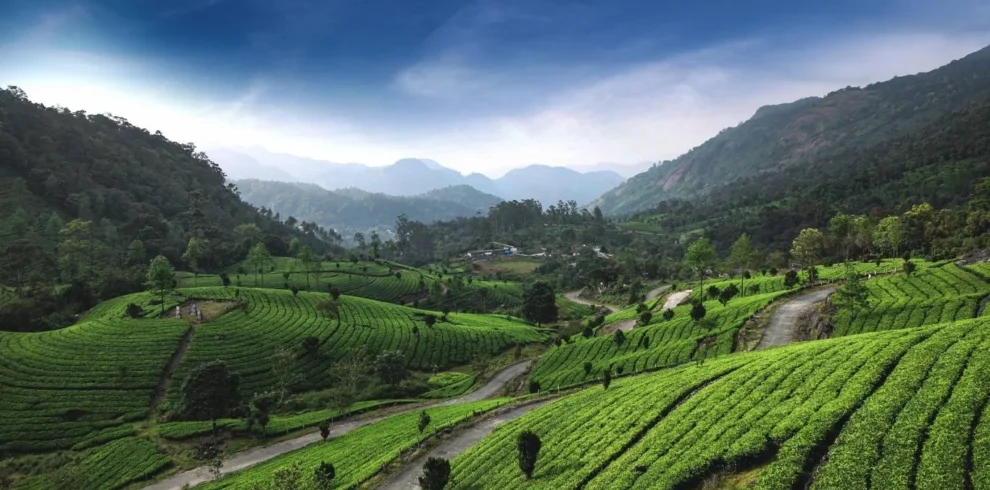 Discover Kerala Tamil Nadu Tour with VTSPL