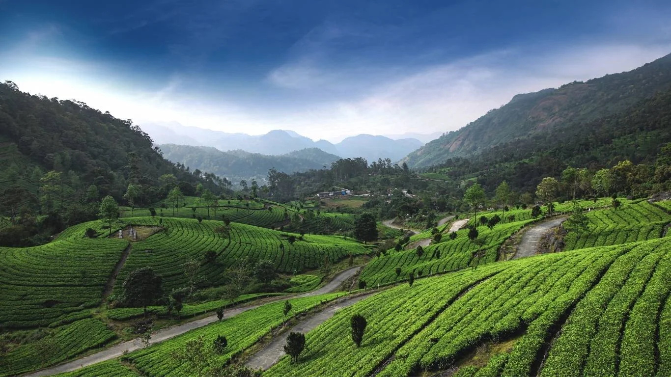 Discover Kerala Tamil Nadu Tour with VTSPL