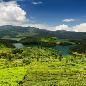 Discover Mysore Ooty Full Day Tour with VTSPL