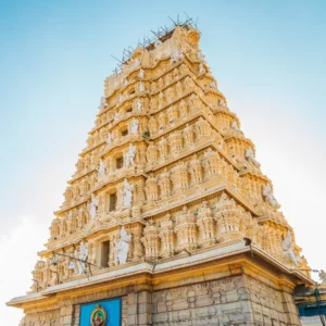 Discover Mysore Ooty Mysore with VTSPL