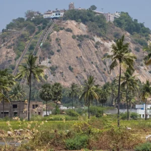 Discover Tamil Nadu Temple Palani with VTSPL