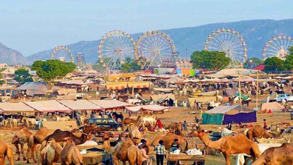 Rajasthan Tour - Pushkar Festival
