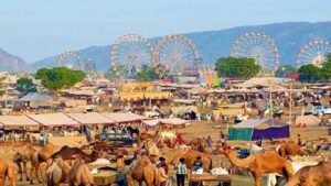 Rajasthan Tour - Pushkar Festival