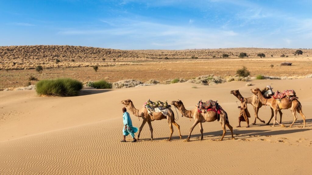 Rajasthan Tours - Jaipur, Jodhpur etc.
