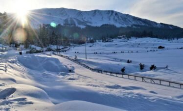 Kashmir & Delhi Scenic Tour