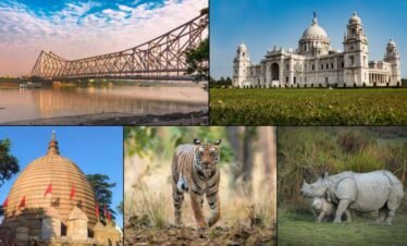 Wildlife and Heritage Expedition: Exploring the Heart of Bengal and Assam